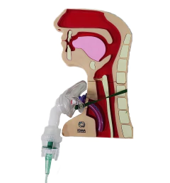 MÁSCARA PARA NEBULIZAR TRAQUEOSTOMÍA ADULTO en internet