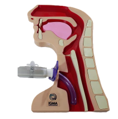 Whisper. Conector recto, puerto de fuga - Igma Insumos Hospitalarios