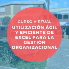 UTILIZACIÓN ÁGIL Y EFICIENTE DE EXCEL PARA LA GESTIÓN ORGANIZACIONAL - comprar online
