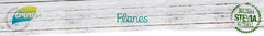 Banner de la categoría Flanes