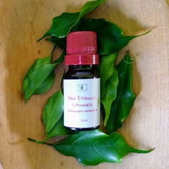 Óleo Essencial de Citronela