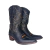 Bota Texana Feminina New Ranch na internet