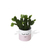 CACHEPOT DE MESA CÍLIOS - comprar online