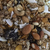 Granola Noa x250g