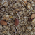 Granola sin pasas x250g