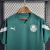 Camisa de Treino Palmeiras 23/24 - Masculina - Torcedor - Puma - FUTEBOLEIRO STORE | Camisas de times nacionais e internacionais