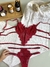 Imagem do Conjunto Isa Vermelho