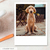 POLAROID PACK POR 36 FOTOS en internet
