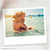 POLAROID PACK POR 36 FOTOS - difoto