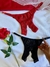 Kit Top 5 calcinhas - AS MAIS VENDIDAS - loja online