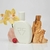 SARKANY WHY NOT 1 EDP en internet