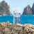 DOLCE & GABBANA LIGHT BLUE SUMMER VIBES EDT en internet