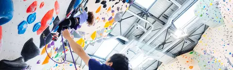 Banner de la categoría Indoor / Muros