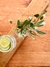 Moringa de Vidro - loja online