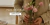 Banner de Tozze Home
