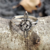 Anillo Nudo de Brujas Liviano en Plata 925 - comprar online