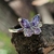 Anillo Mariposa en Plata 925 con Zirconias Cúbicas - comprar online
