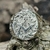 Anillo Masón Logia Masónica - comprar online