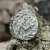 Anillo Masón Logia Masónica - comprar online