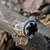 Imagen de Anillo Espejo Obsidiana Diosa Hecate