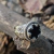 Imagen de Anillo Espejo Obsidiana Diosa Hecate