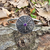 Pulsera Esclava Vegvísir Brújula Vikinga - Amarrarte