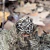 Anillo Nudo de Bruja con Triquetas Doble Caña - comprar online