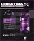 Creatina Micronizada Xtrenght 250grs Crreatina Pharmaceutical Grade - comprar online