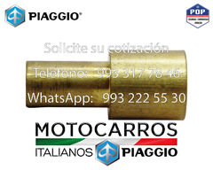 Piaggio Terminal [119278]
