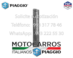 Piaggio Perno Rodillo Brazo Externo Selector Velocidades [126053016]