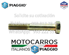 Piaggio Tornillo Hexagonal m10x65 [15594]