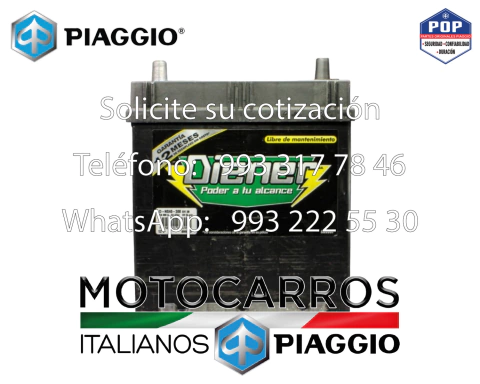 Acumulador Diener D-NS40-300 (caja chica) [172818]