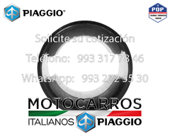 Piaggio Campos Magneticos Motor Arranque [1A009589] en internet