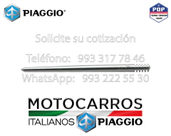 Piaggio Carburador Aguja Campana [1A010098]