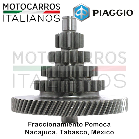 Piaggio Engrane Multiple [1A010698R] (Auto+. Dx395) (9.14.21.26 dientes) - comprar en línea