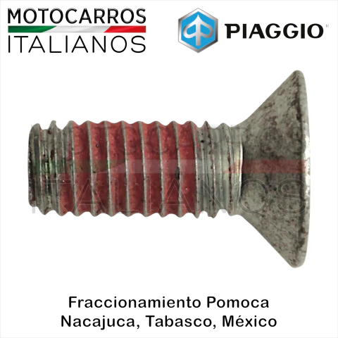 Piaggio Tornillo Allen Retenedor Balero (City Nxt+) - comprar en línea