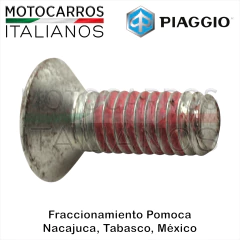 Piaggio Tornillo Allen Retenedor Balero (City Nxt+) - Motocarros Italianos Piaggio