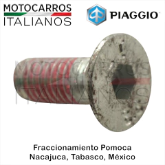 Piaggio Tornillo Allen Retenedor Balero (City Nxt+) en internet