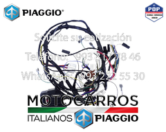 Piaggio Arnes Electrico Panel Instrumentos [B002510R] - Motocarros Italianos Piaggio