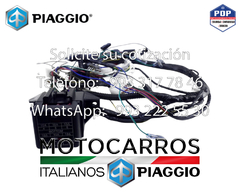 Piaggio Arnes Electrico Panel Instrumentos [B002510R] - tienda en línea