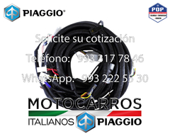 Piaggio Arnes Electrico Central [B006893]