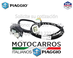 Piaggio Arnes Electrico Motor [B023968]