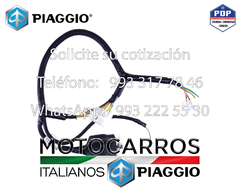 Piaggio Arnes Electrico Motor [B023968] en internet
