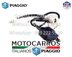 Piaggio Arnes Electrico Motor [B023968] - Motocarros Italianos Piaggio