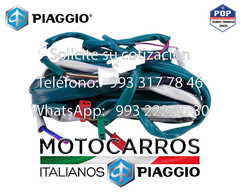 Piaggio Arnes Electrico Gas LP [B024270] en internet