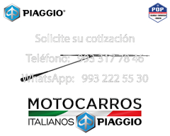 Piaggio Brazo Limpiavidrios Completo [B073600]
