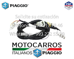 Piaggio Arnes Electrico Motor [B075443]