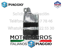 Piaggio Protector Bomba Freno [B075949]