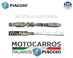 Piaggio Chicote Reversa Completo [B076036] (194.227)