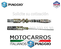 Piaggio Chicote Reversa Completo [B076036] (194.227)
